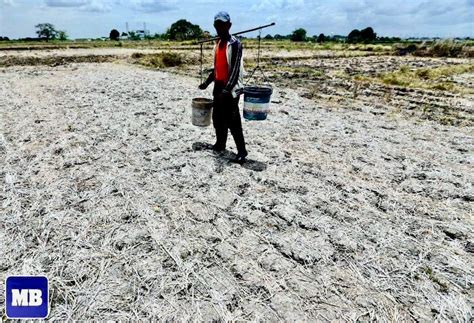 cisco dilg|DILG to local execs: Implement water conservation measures.